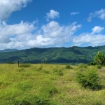 Terrenos en el Cupey en Venta - Solares - Palmas del Cupey