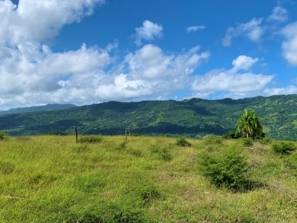 Terrenos en el Cupey en Venta - Solares - Palmas del Cupey